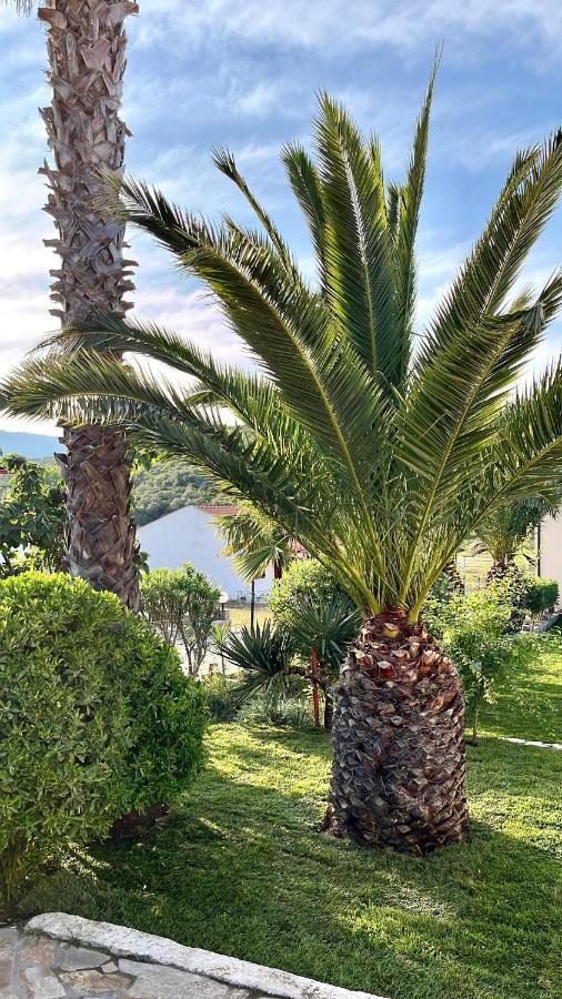 Palma Seaside Villa 1 사르티 외부 사진